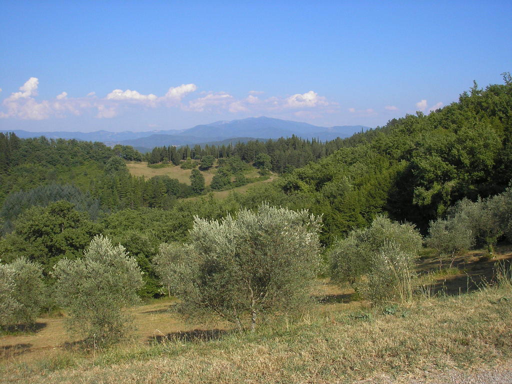 Podere Capitignano Borgo San Lorenzo Exterior photo